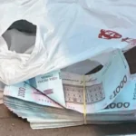 Вимагали мільйон за екологічний висновок: двох науковців викрили на хабарі